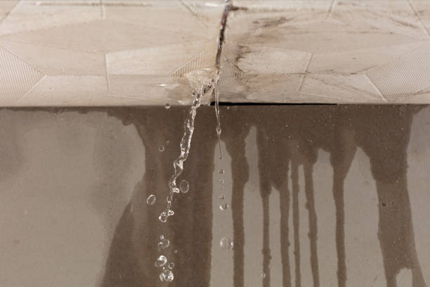 Professional Structural Drying technician working in Bloomfield Hills, MI